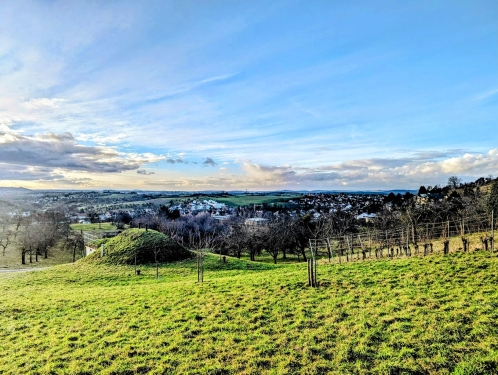 Auenwald, Januar 2024