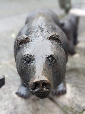 Bär, Bernau, Brandenburg, Oktober 2023