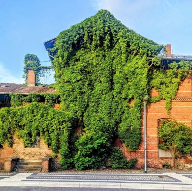 Bahnhof Brand, Brand, Brandenburg, Mai 2024