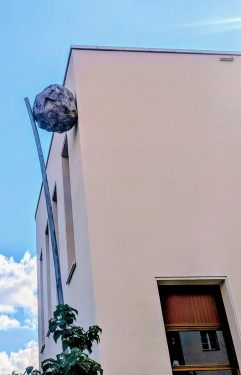 Die Kugel des Sisyphos, Simon Deppierraz, Hauswand, Pappelallee, Prenzlauer Berg, Mai 2024