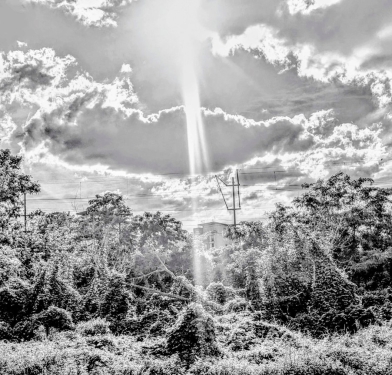 Efeulandschaft, Kirschblütenpfad, Prenzlauer Berg, Berlin, Mai 2024