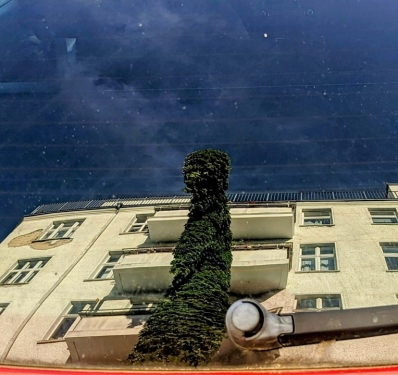 Efeuüberwachsene Straßenlaterne, Schwedter Straße, Prenzlauer Berg, Berlin, Mai 2024