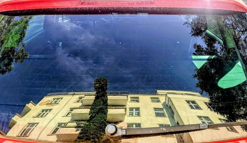 Efeuüberwachsene Straßenlaterne, Schwedter Straße, Prenzlauer Berg, Berlin, Mai 2024