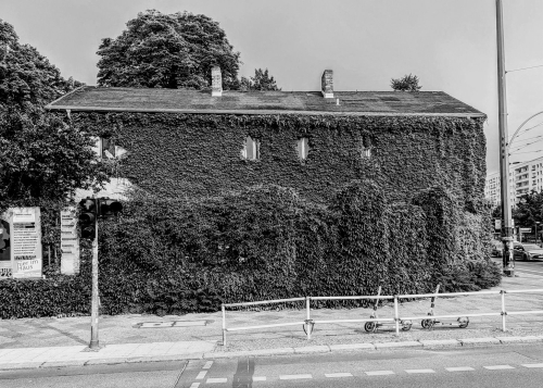 Efeuüberwachsenes Bürogebäude, St.-Marien- und St.-Nikolai-Friedhof I, Prenzlauer Allee, Prenzlauer Berg, Berlin, Mai 2024