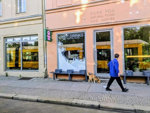 Fußgänger mit Hund, Tram, Rosenthaler Straße, Mitte, Berlin, Juni 2024