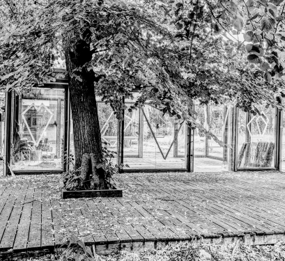 Green Yoga Volkspark, Volkspark Friedrichshain, Friedrichshain, Berlin, Juli 2024