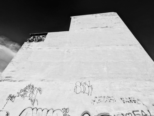 Hauswand, Ackerstraße, Mitte, Berlin, Juli 2024