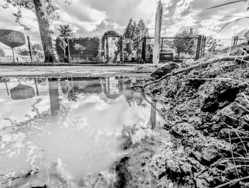 Gartenbogen, Kleingartenanlage Bornholm, Esplanade, Pankow, Berlin, Mai 2024