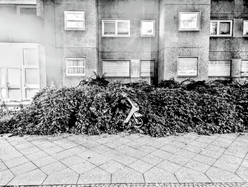 Motorroller, Behmstraße, Gesundbrunnen, Berlin, Oktober 2023