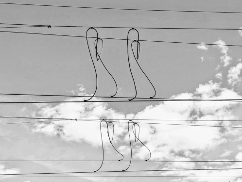 Oberleitungen, Bahnhof Grunewald, Charlottenburg-Wilmersdorf, Berlin, Juni 2024