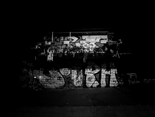 Rosengarten, Weinbergspark, Mitte, Berlin, Mai 2024