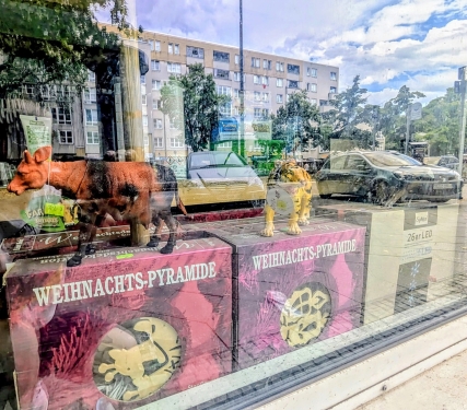 Schaufenster, Brunnenstraße, Gesundbrunnen, Berlin, Juli 2024