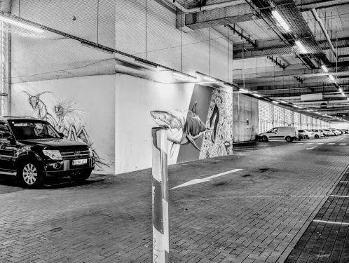 Shark, ENNICOLOR, Urban Canvas Parkhaus Wedding, Gesundbrunnen, Berlin, August 2024