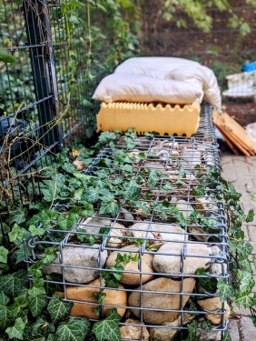 Steinbett, Norwegerstraße, Prenzlauer Berg, Berlin, Oktober 2023