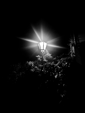 Straßenlaterne bei Nacht, Mitte, Berlin, Mai 2024