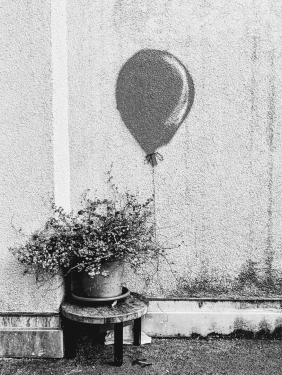 Urban Art, Kastanienallee, Prenzlauer Berg, Berlin, August 2024